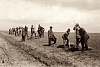 Výuka sázení stromků, 1928