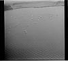 Lipno